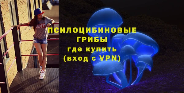 mdpv Бронницы