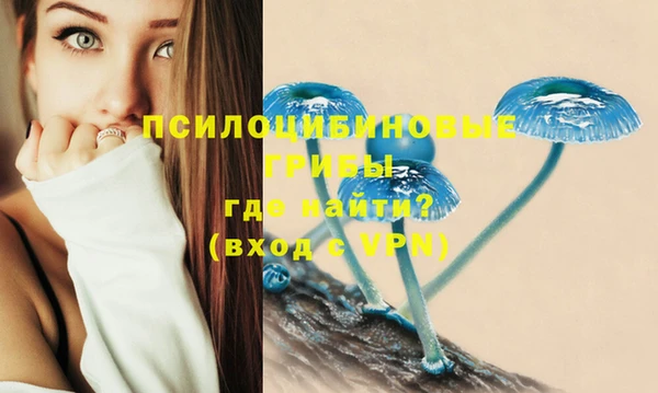 мяу мяу мука Богданович