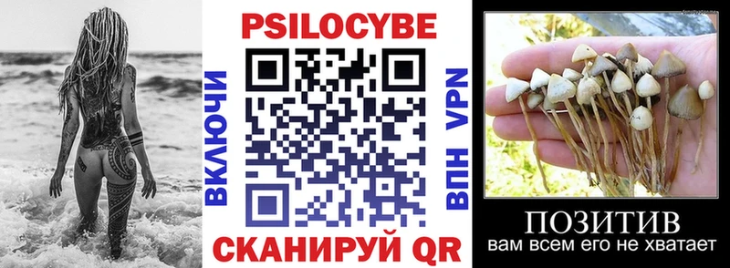 Галлюциногенные грибы Psilocybine cubensis  Мензелинск 