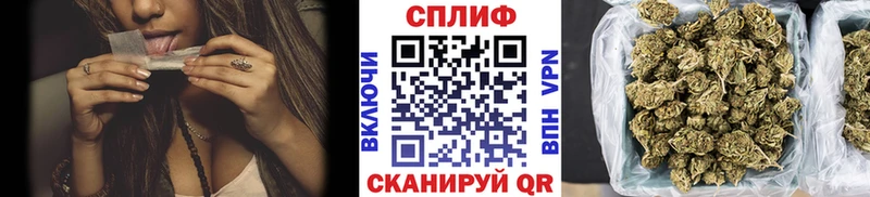 как найти наркотики  Мензелинск  Каннабис сатива 